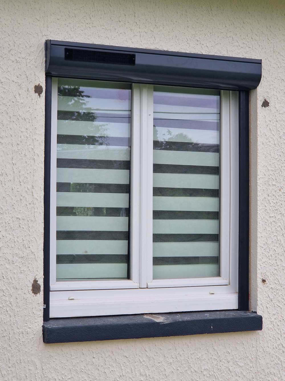 20240725_145023.jpgvolet solaire -min